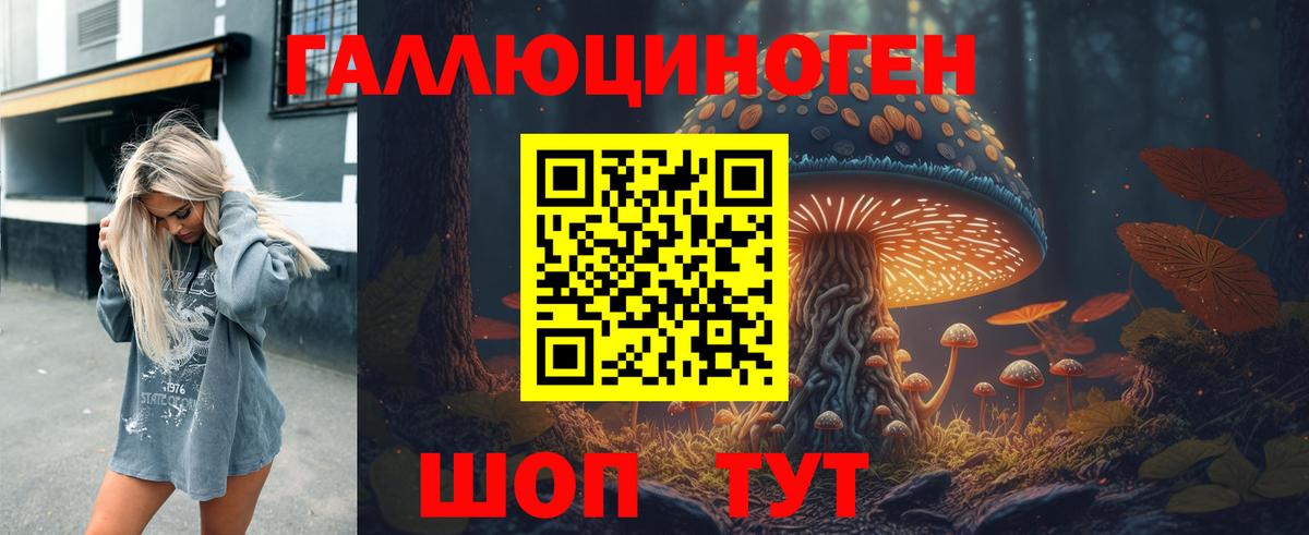 Галлюциногенные грибы Psilocybe  Вход с VPN  Новокуйбышевск 